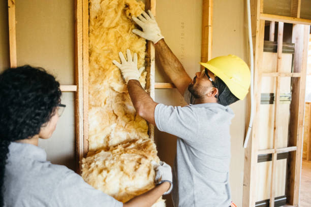 Best Attic Insulation Installation  in Morrilton, AR